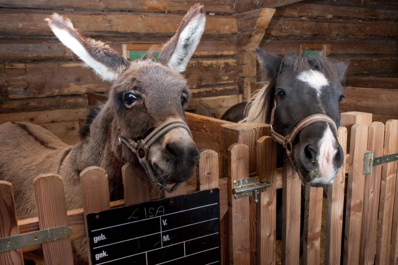 Der Unterschwarzachhof Hotel Saalbach-Hinterglemm Eksteriør billede